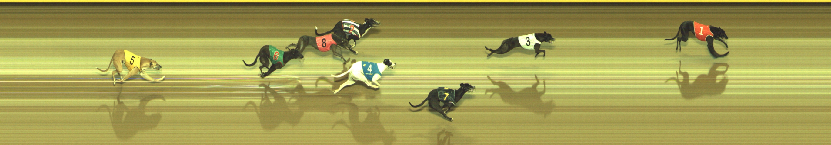 Photo finish for Geelong Race 10