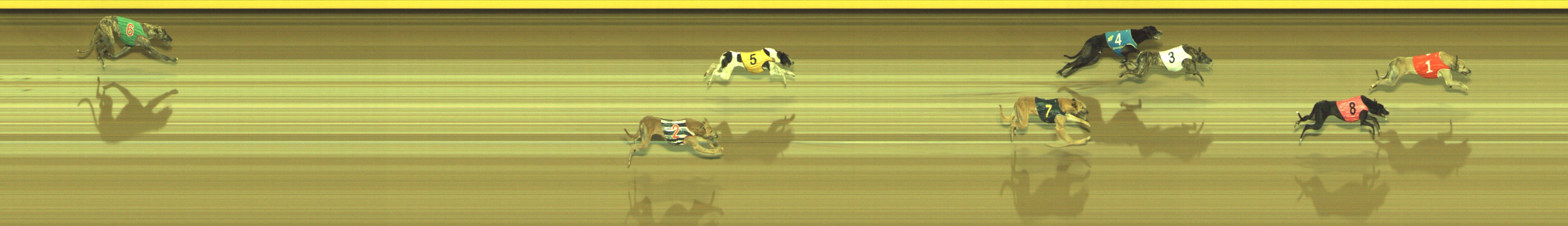 Photo finish for Geelong Race 11