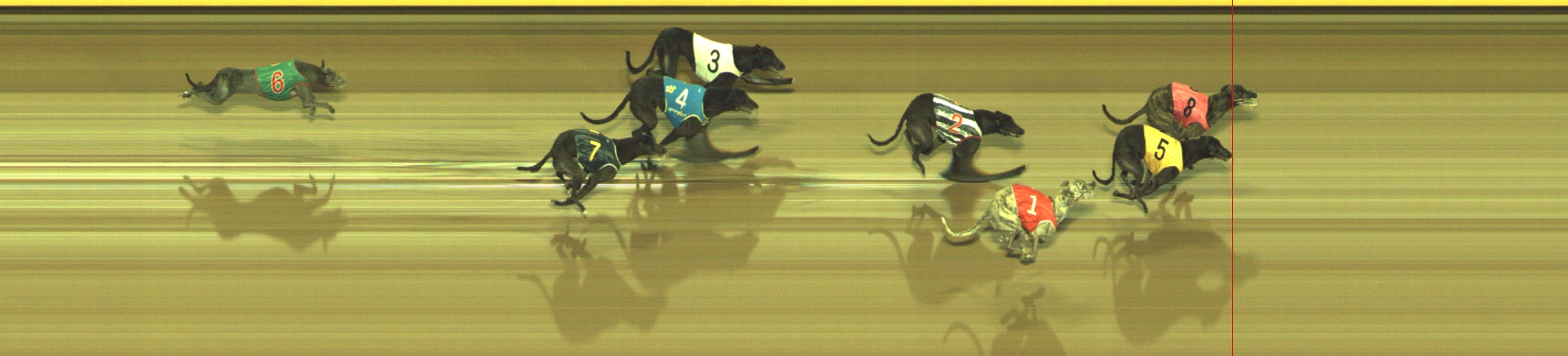 Photo finish for Geelong Race 12