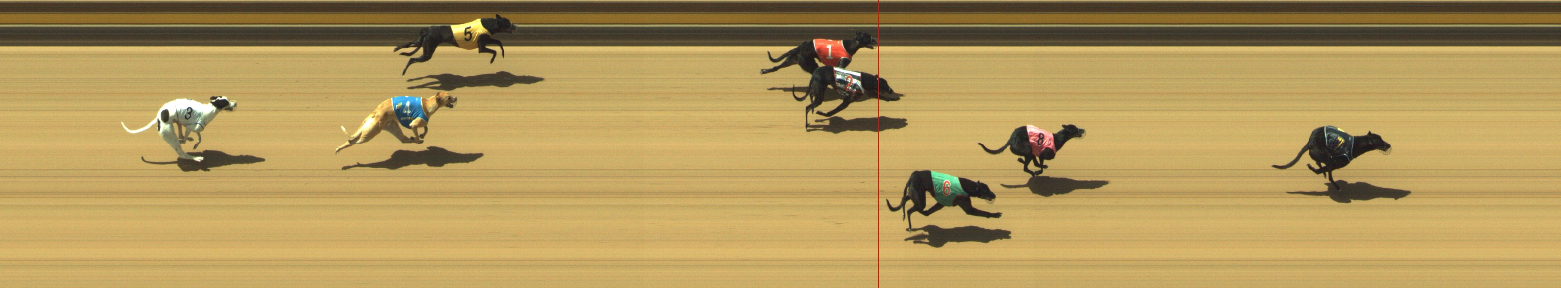 Photo finish for Geelong Race 1