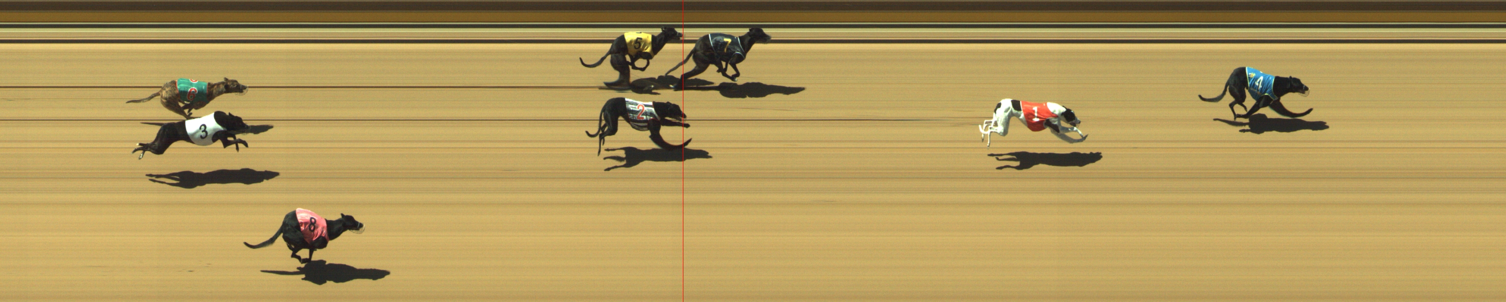 Photo finish for Geelong Race 2