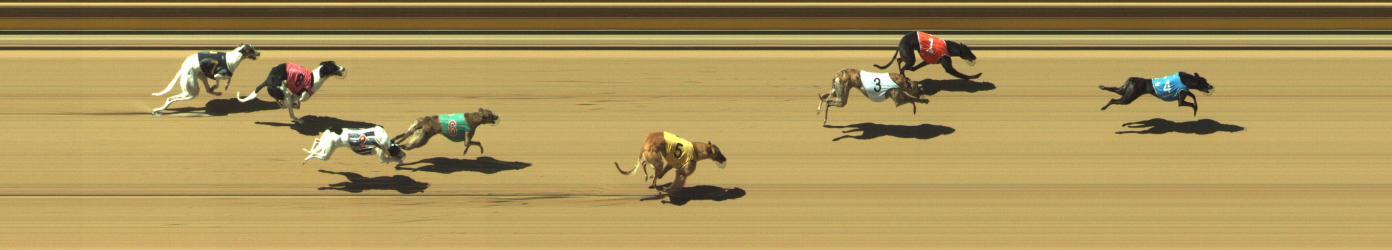 Photo finish for Geelong Race 3