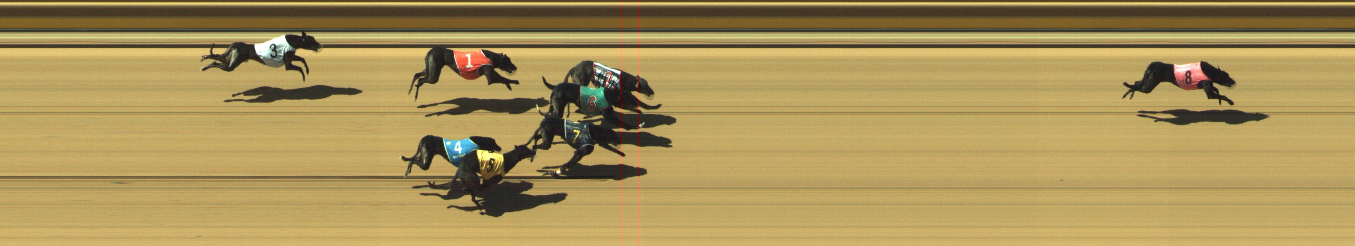 Photo finish for Geelong Race 4