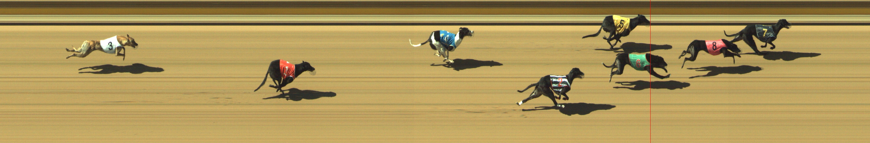 Photo finish for Geelong Race 5