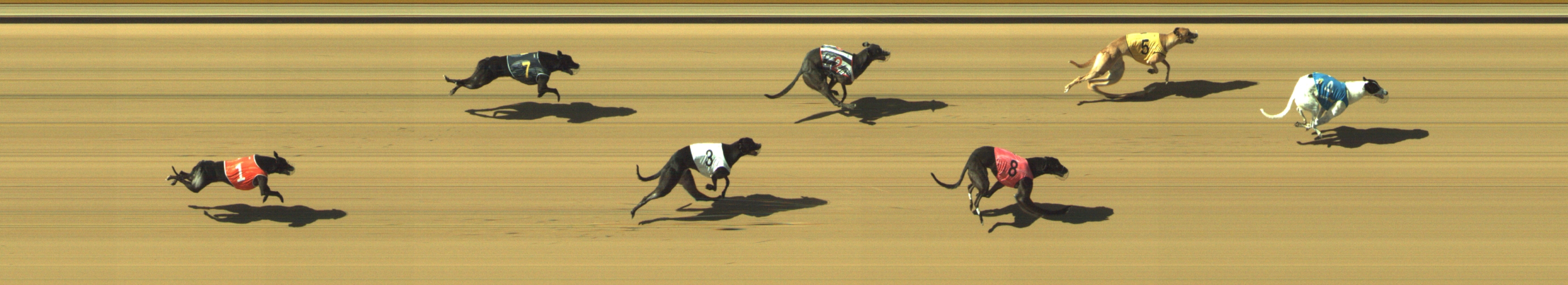 Photo finish for Geelong Race 6