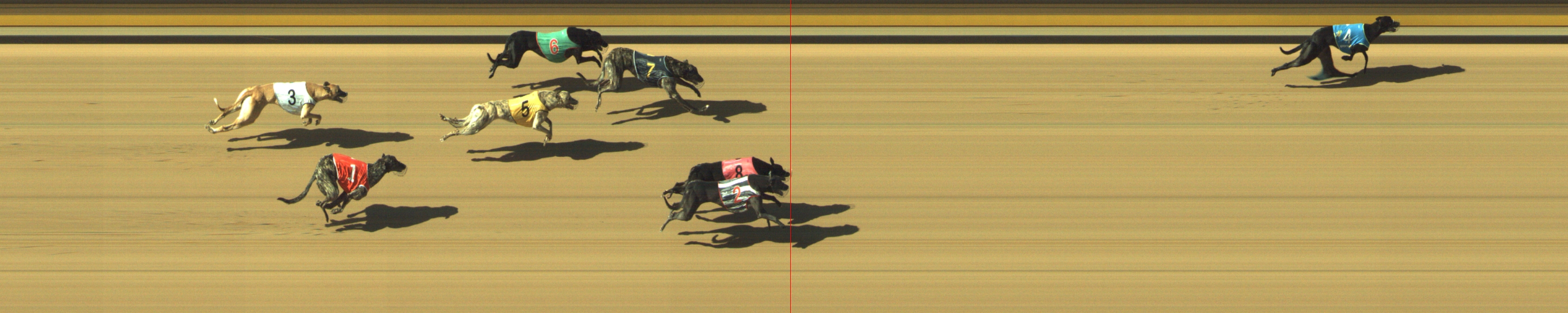 Photo finish for Geelong Race 7