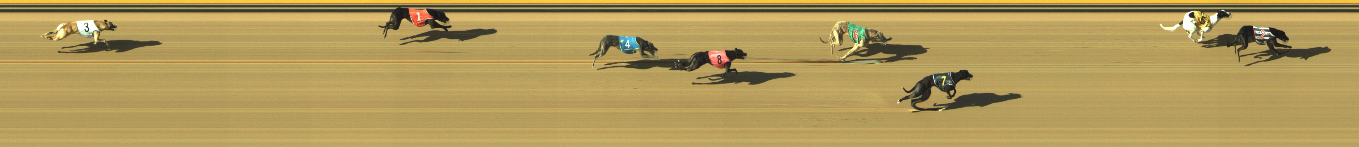 Photo finish for Geelong Race 9