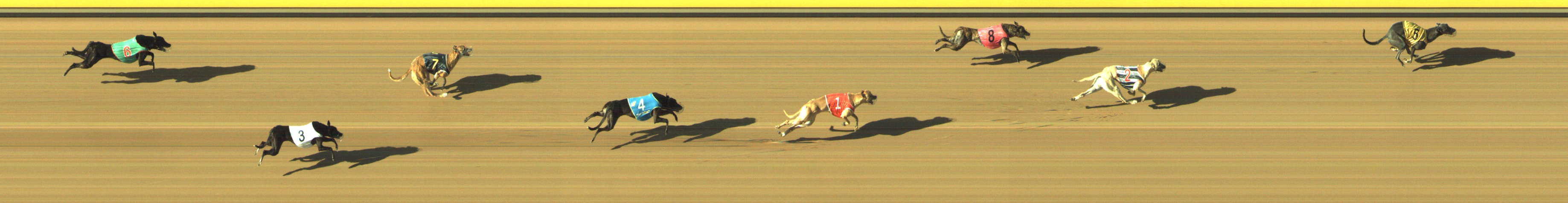 Photo finish for Geelong Race 10