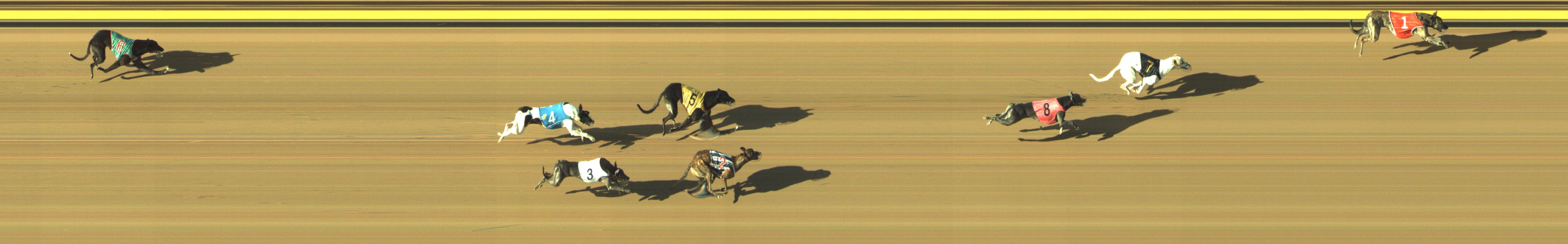 Photo finish for Geelong Race 11