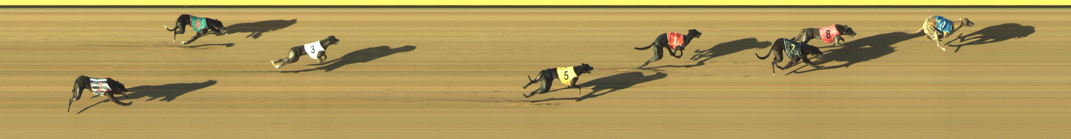 Photo finish for Geelong Race 12