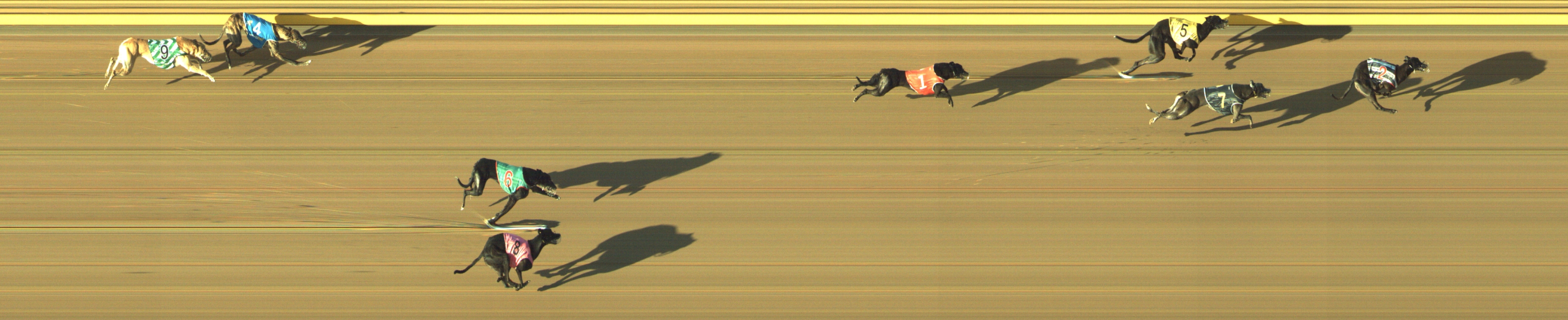 Photo finish for Geelong Race 13