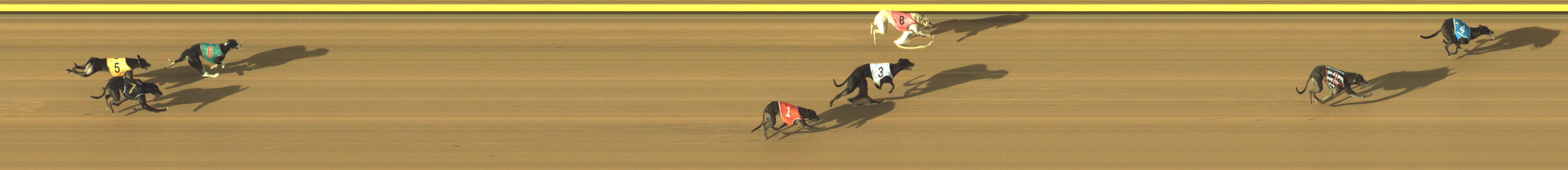 Photo finish for Geelong Race 1