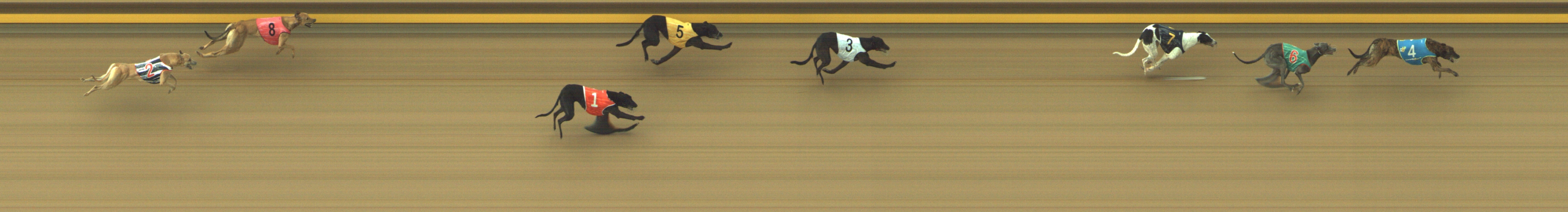 Photo finish for Geelong Race 2