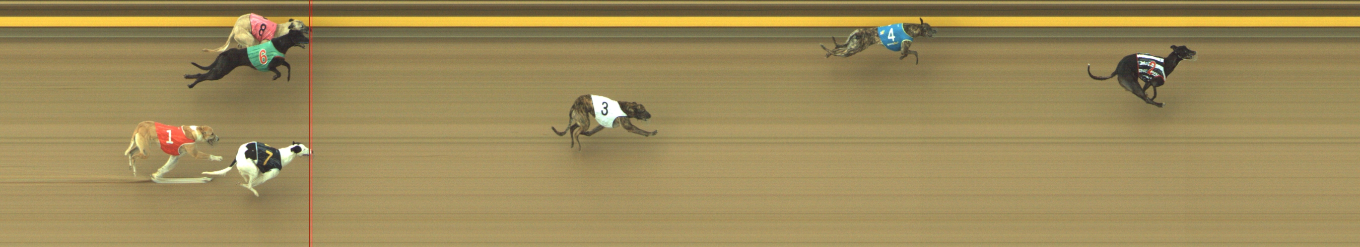 Photo finish for Geelong Race 3