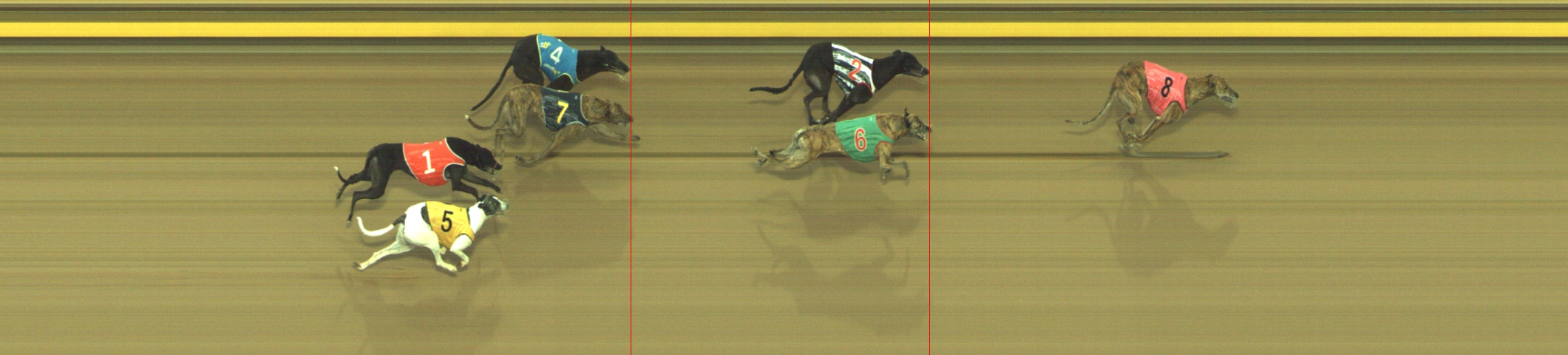 Photo finish for Geelong Race 4