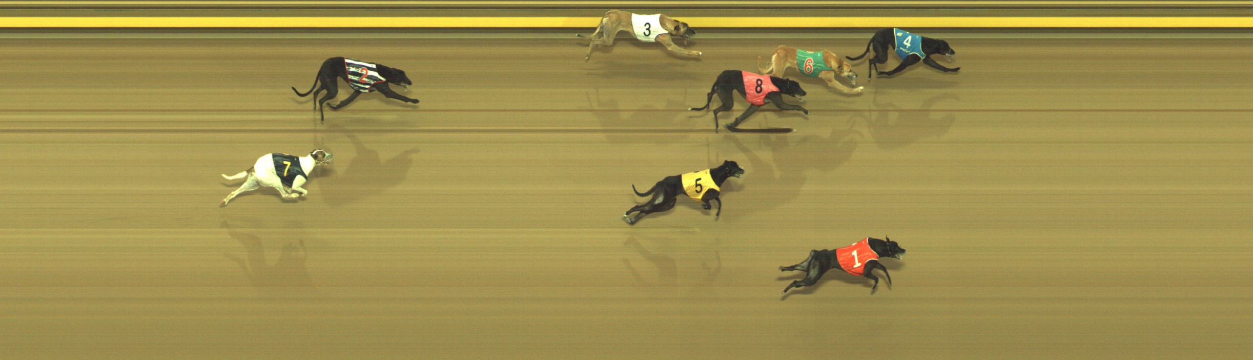 Photo finish for Geelong Race 5