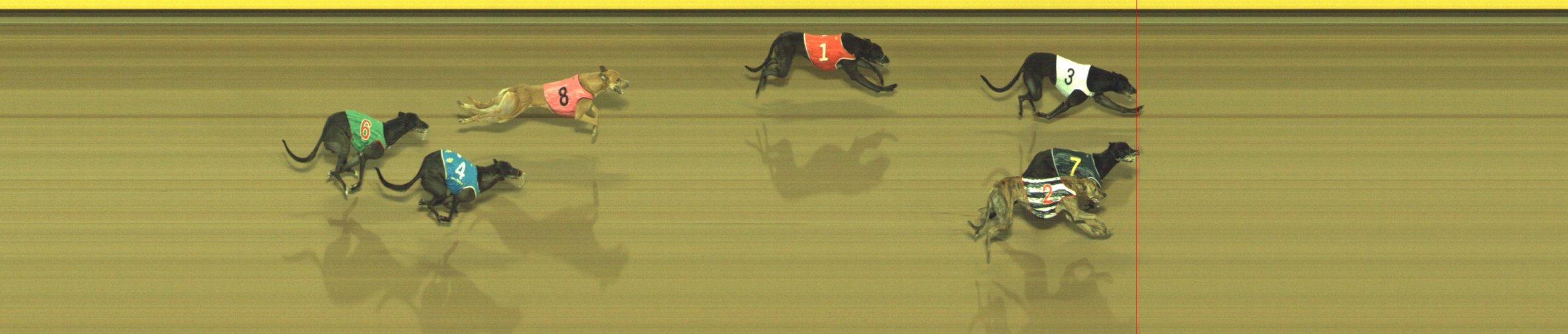 Photo finish for Geelong Race 6