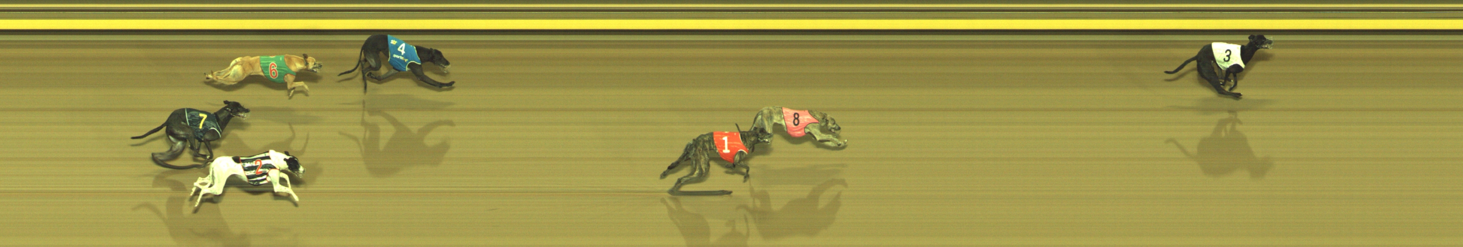 Photo finish for Geelong Race 7