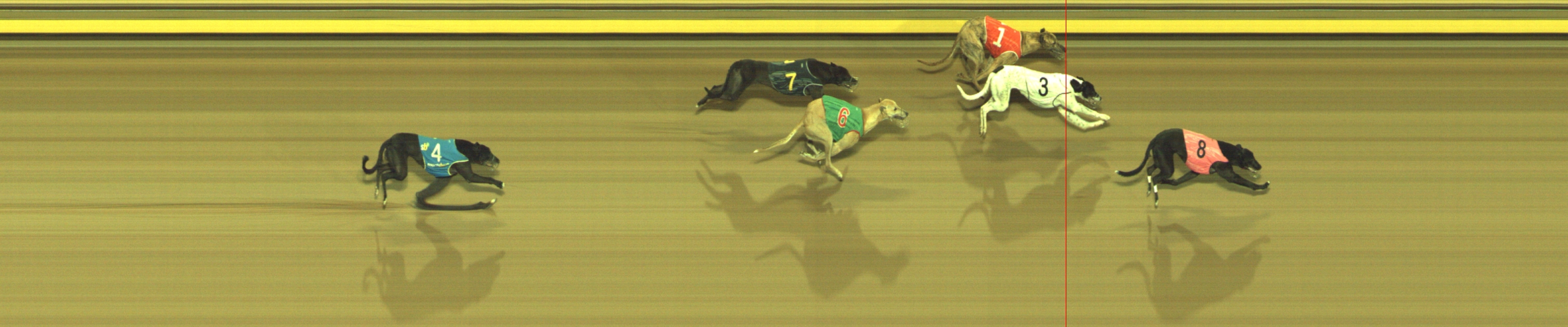 Photo finish for Geelong Race 8