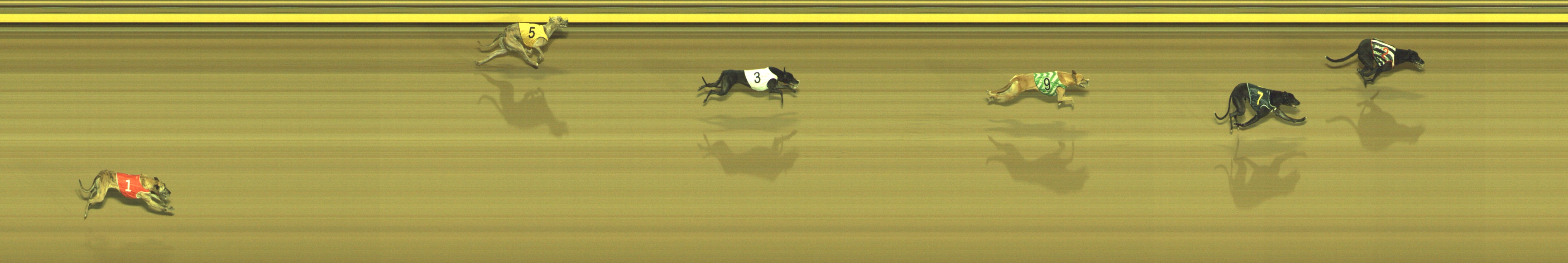 Photo finish for Geelong Race 9