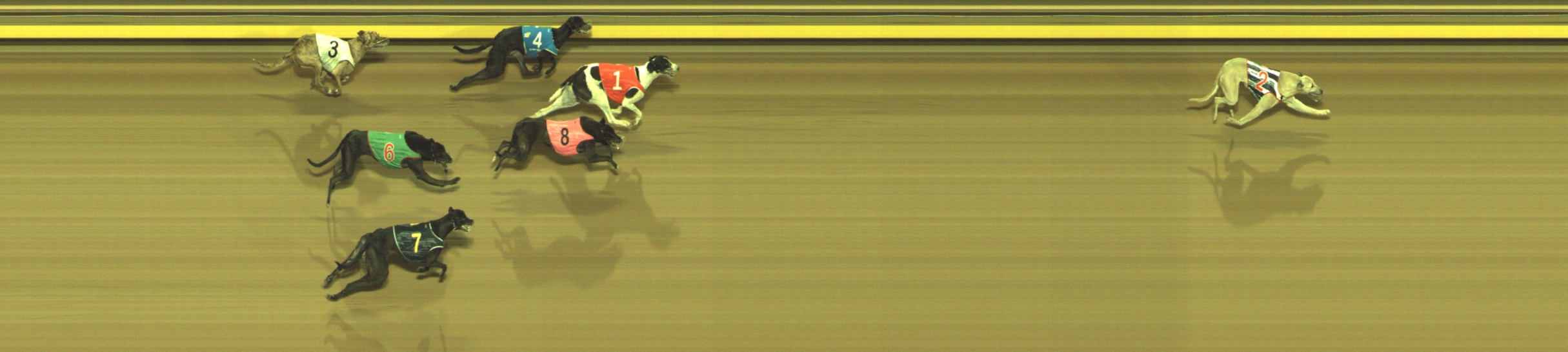 Photo finish for Geelong Race 10