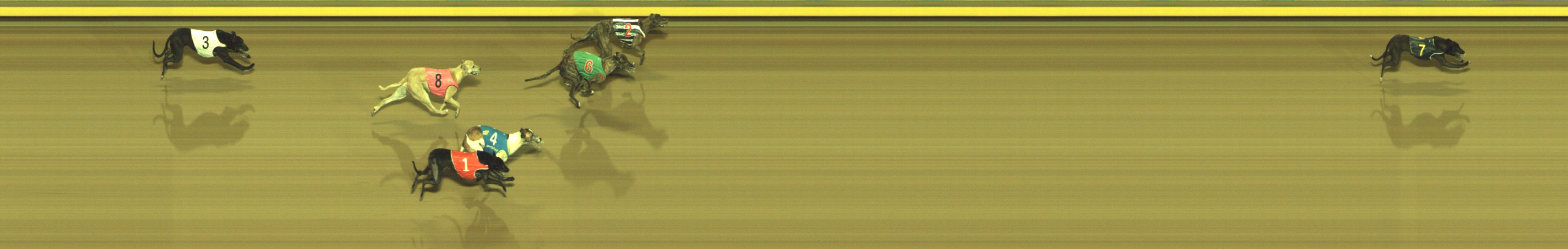 Photo finish for Geelong Race 11