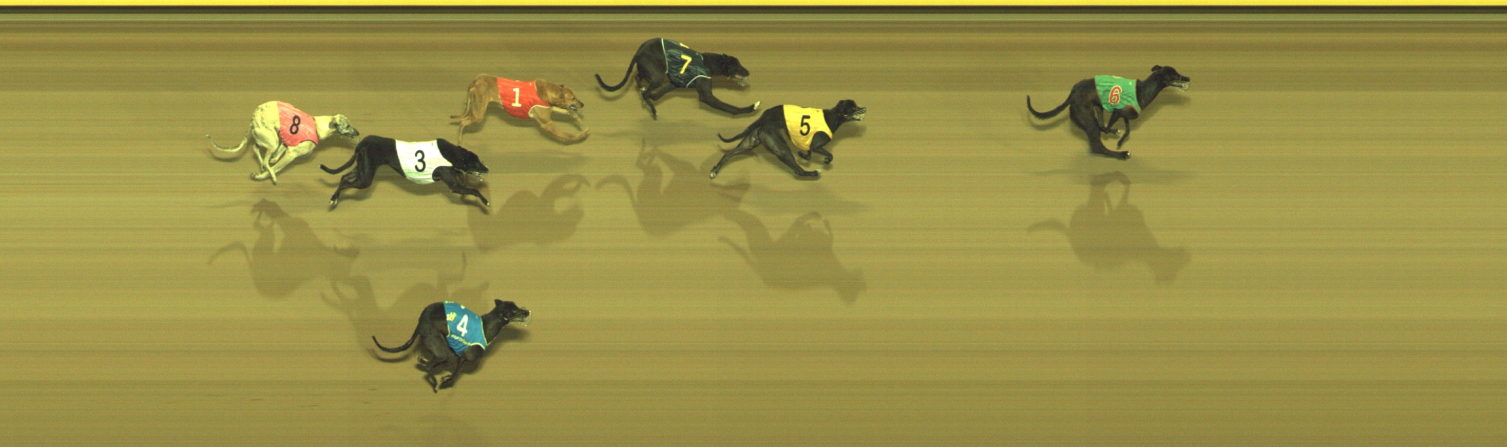 Photo finish for Geelong Race 12