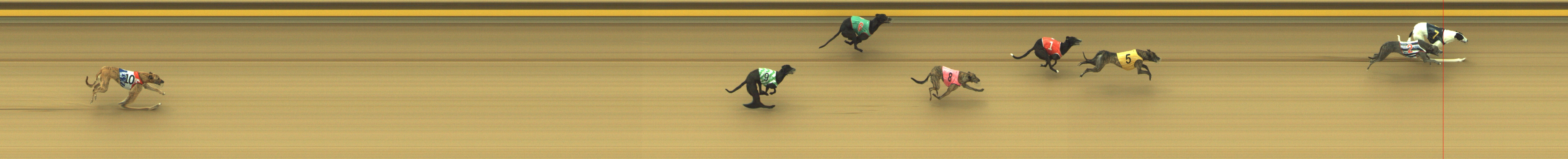 Photo finish for Geelong Race 1