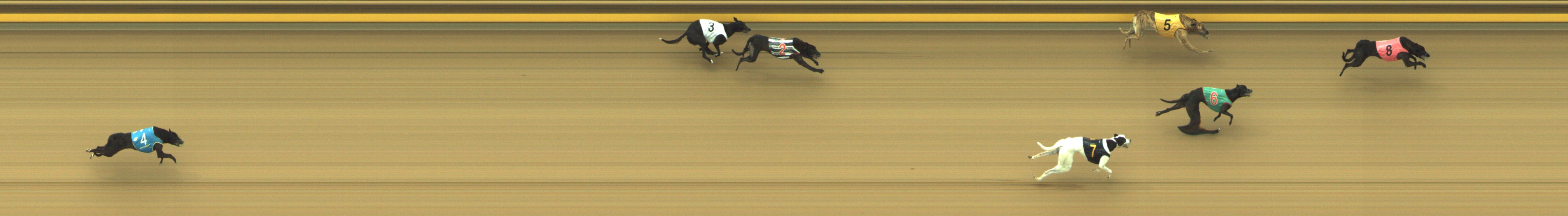 Photo finish for Geelong Race 2