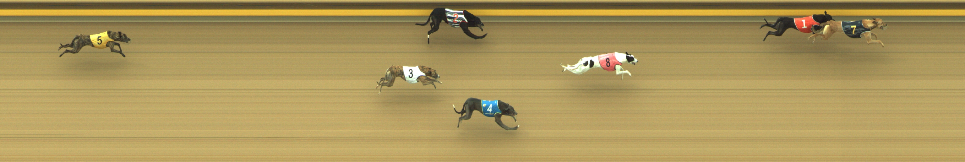 Photo finish for Geelong Race 3
