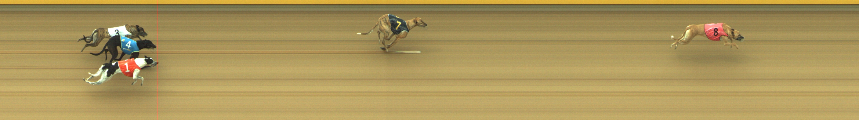Photo finish for Geelong Race 4