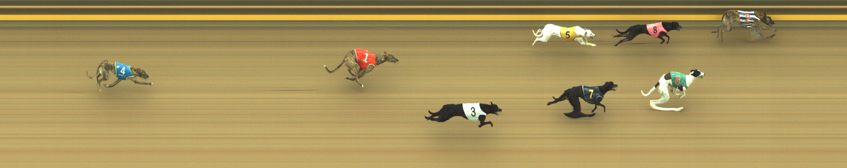 Photo finish for Geelong Race 5