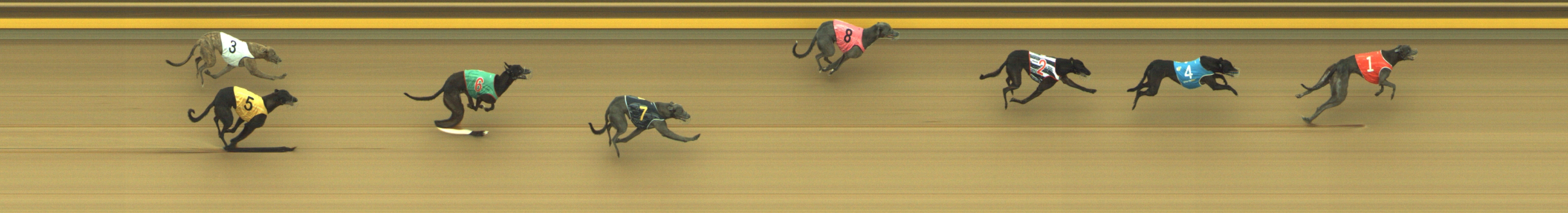 Photo finish for Geelong Race 6