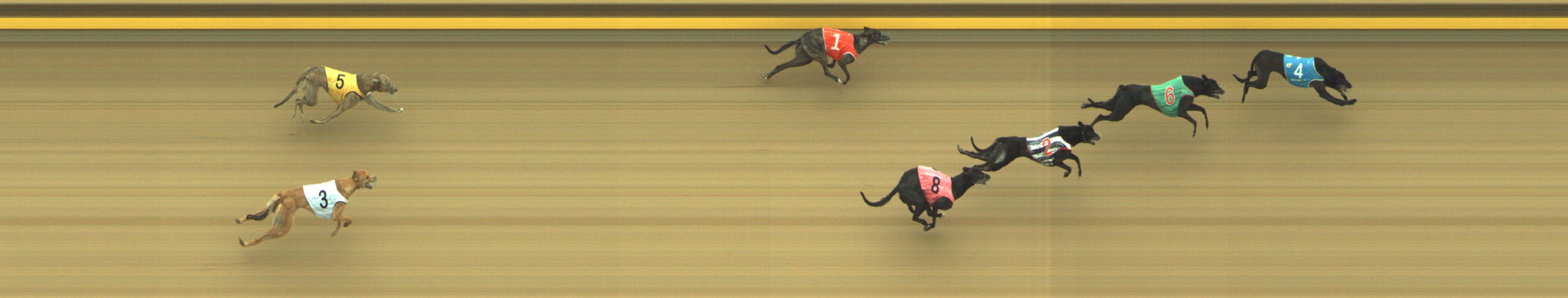 Photo finish for Geelong Race 8