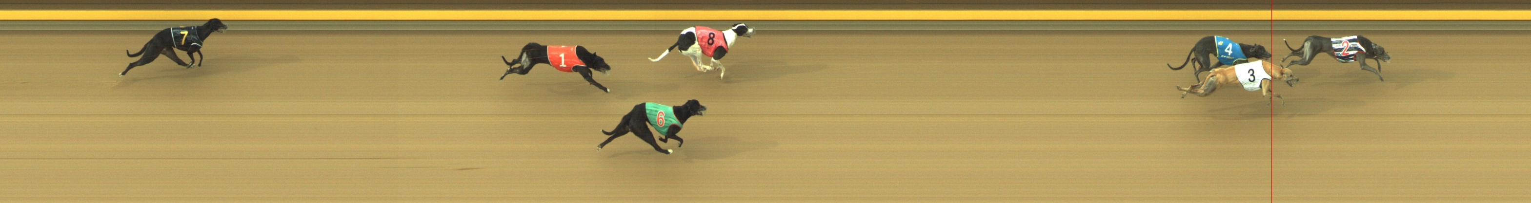 Photo finish for Geelong Race 9