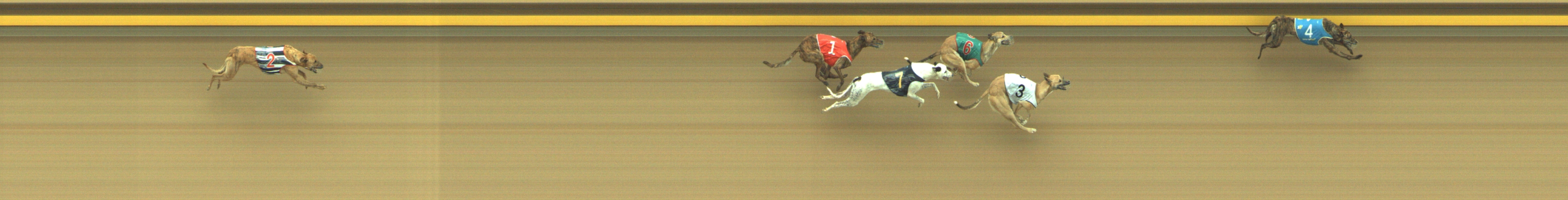 Photo finish for Geelong Race 10