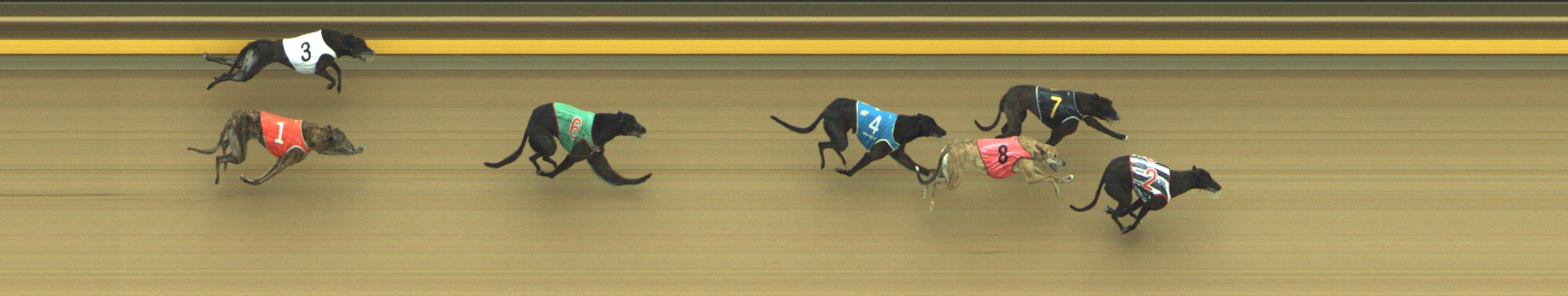 Photo finish for Geelong Race 11