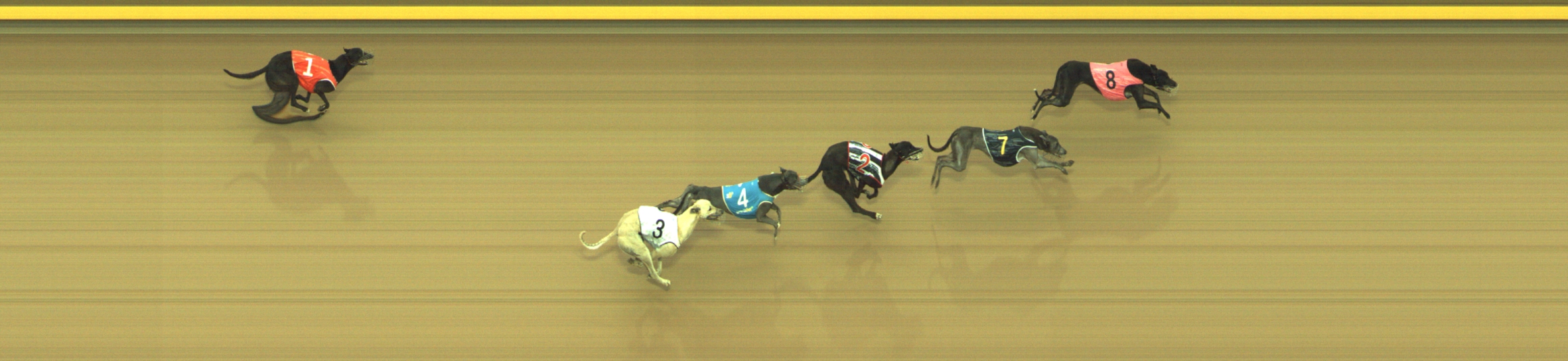 Photo finish for Geelong Race 12