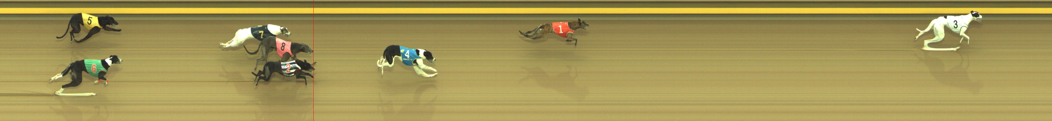Photo finish for Geelong Race 13