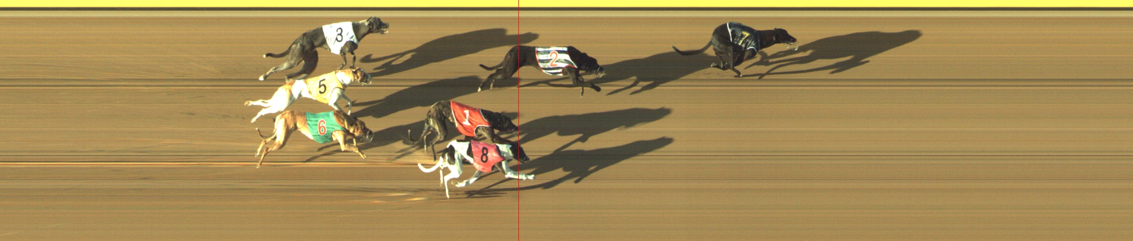 Photo finish for Geelong Race 1