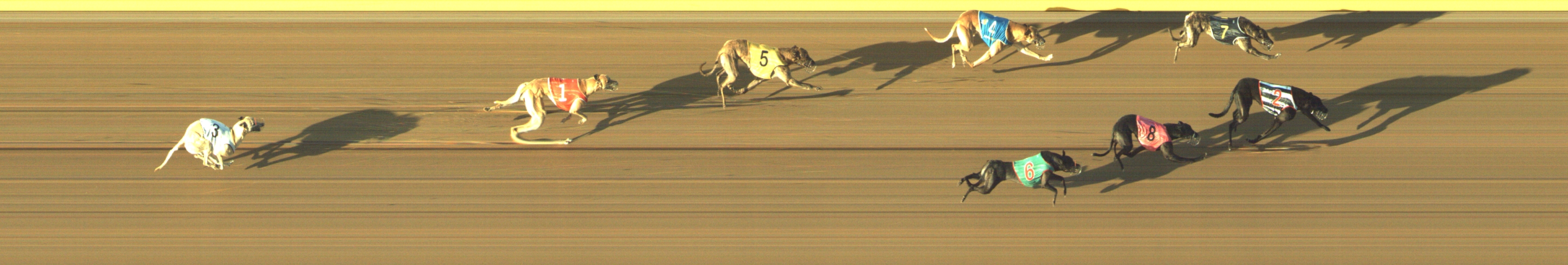 Photo finish for Geelong Race 2