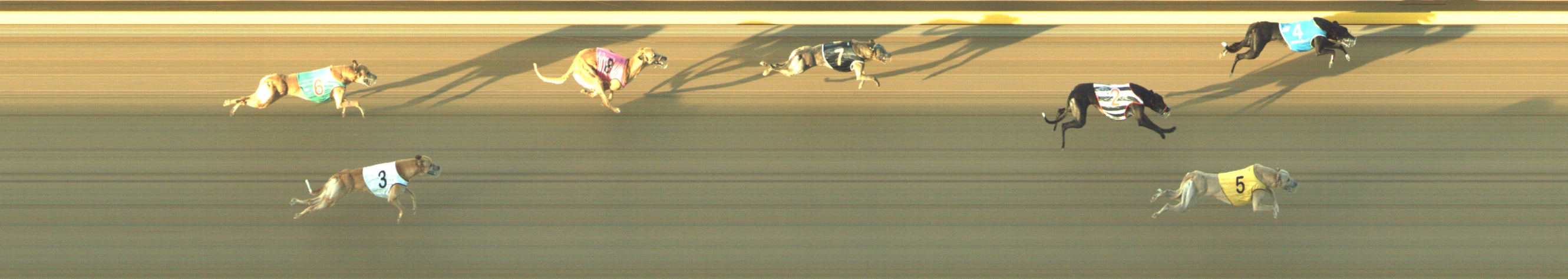 Photo finish for Geelong Race 3