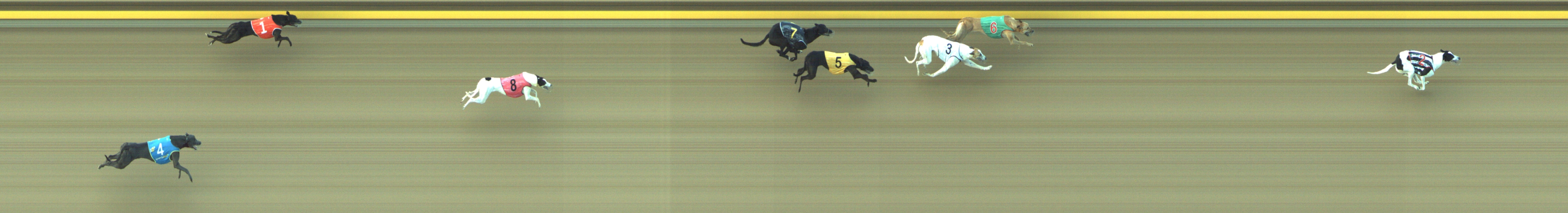 Photo finish for Geelong Race 4
