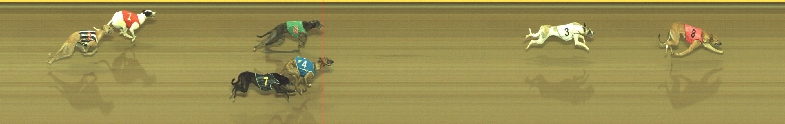 Photo finish for Geelong Race 5