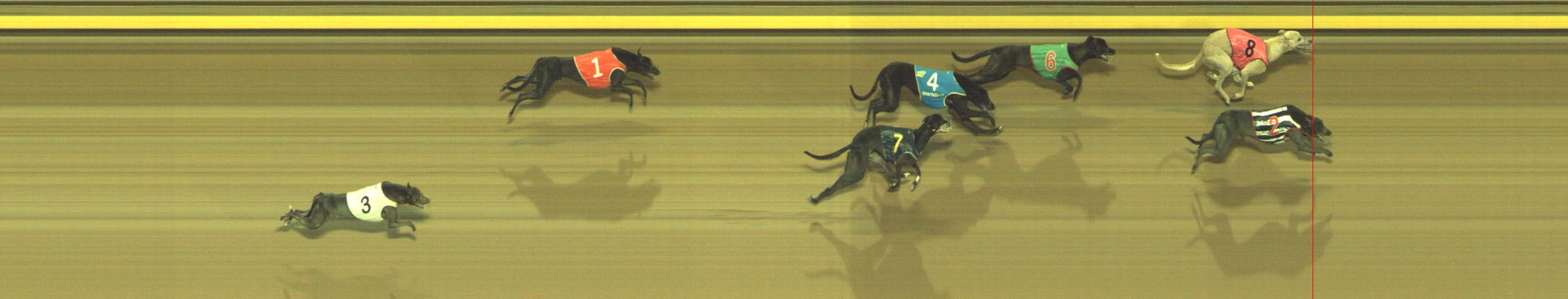 Photo finish for Geelong Race 6