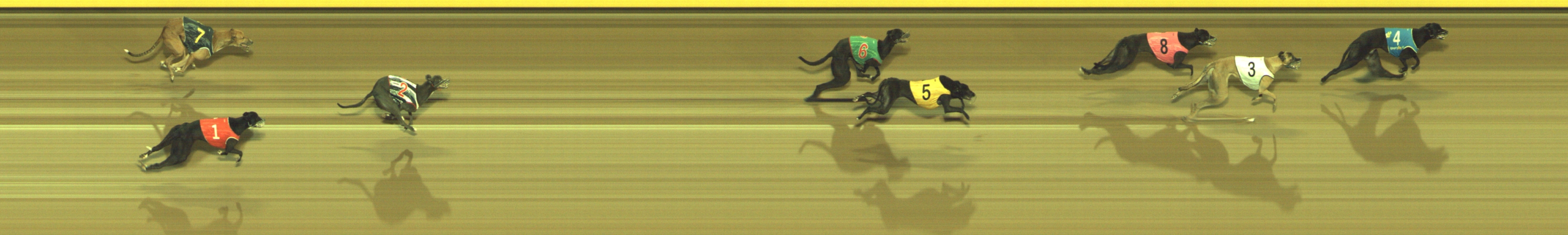 Photo finish for Geelong Race 7