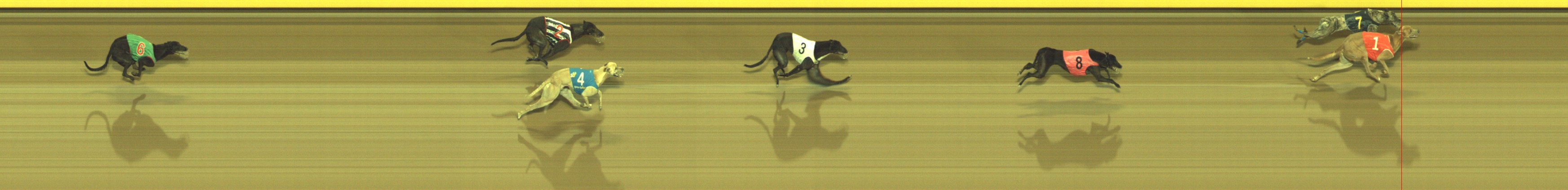 Photo finish for Geelong Race 8