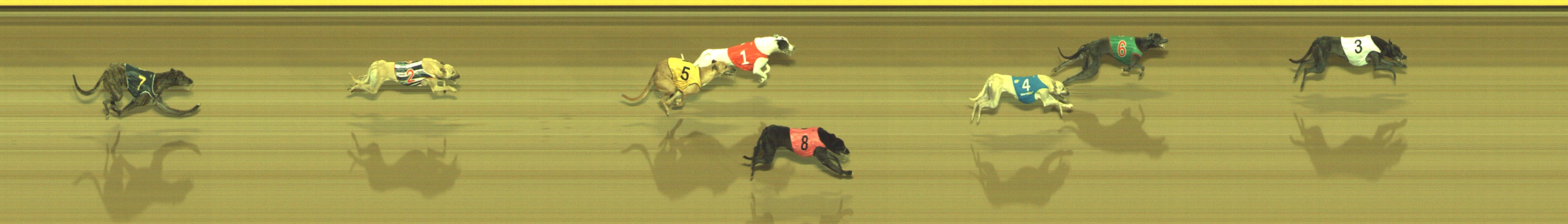 Photo finish for Geelong Race 9