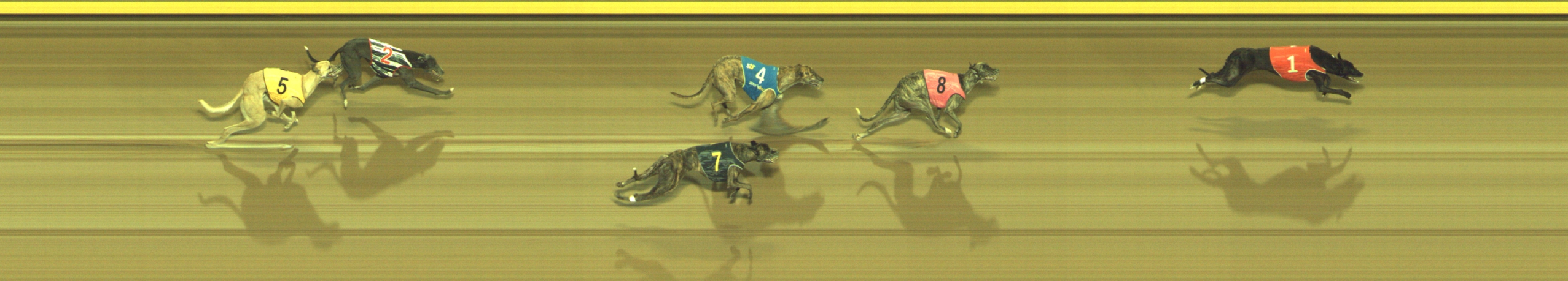 Photo finish for Geelong Race 10