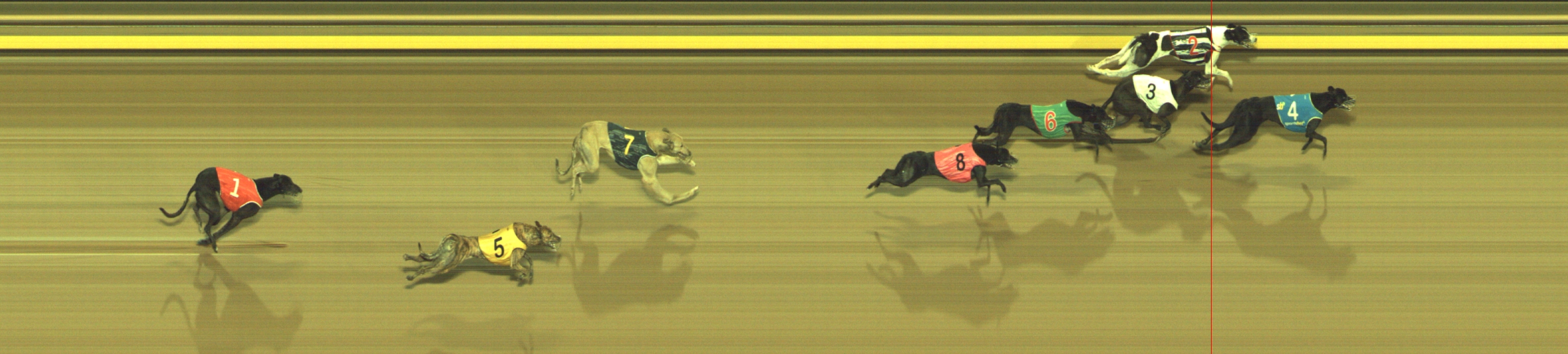 Photo finish for Geelong Race 11